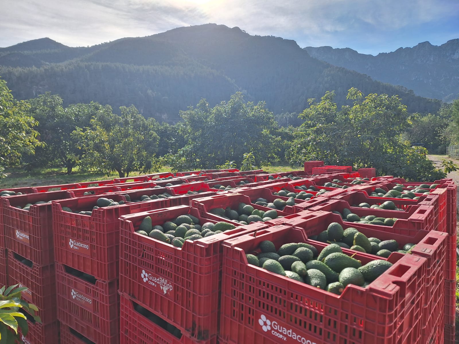 O firmie 2 O firmie 2